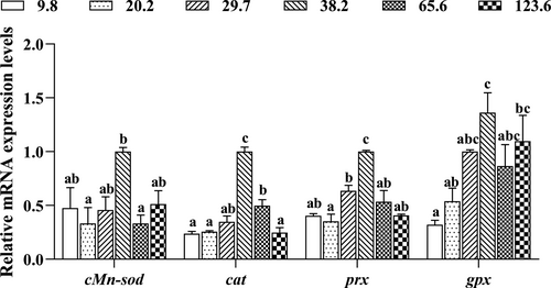 Details are in the caption following the image Details are in the caption following the image