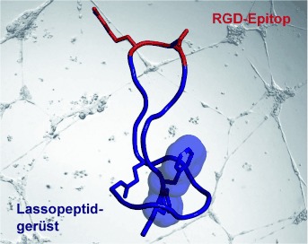 Introducing Lasso Peptides as Molecular Scaffolds for Drug Design: Engineering of an Integrin Antagonist