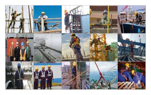 Details are in the caption following the image Details are in the caption following the image