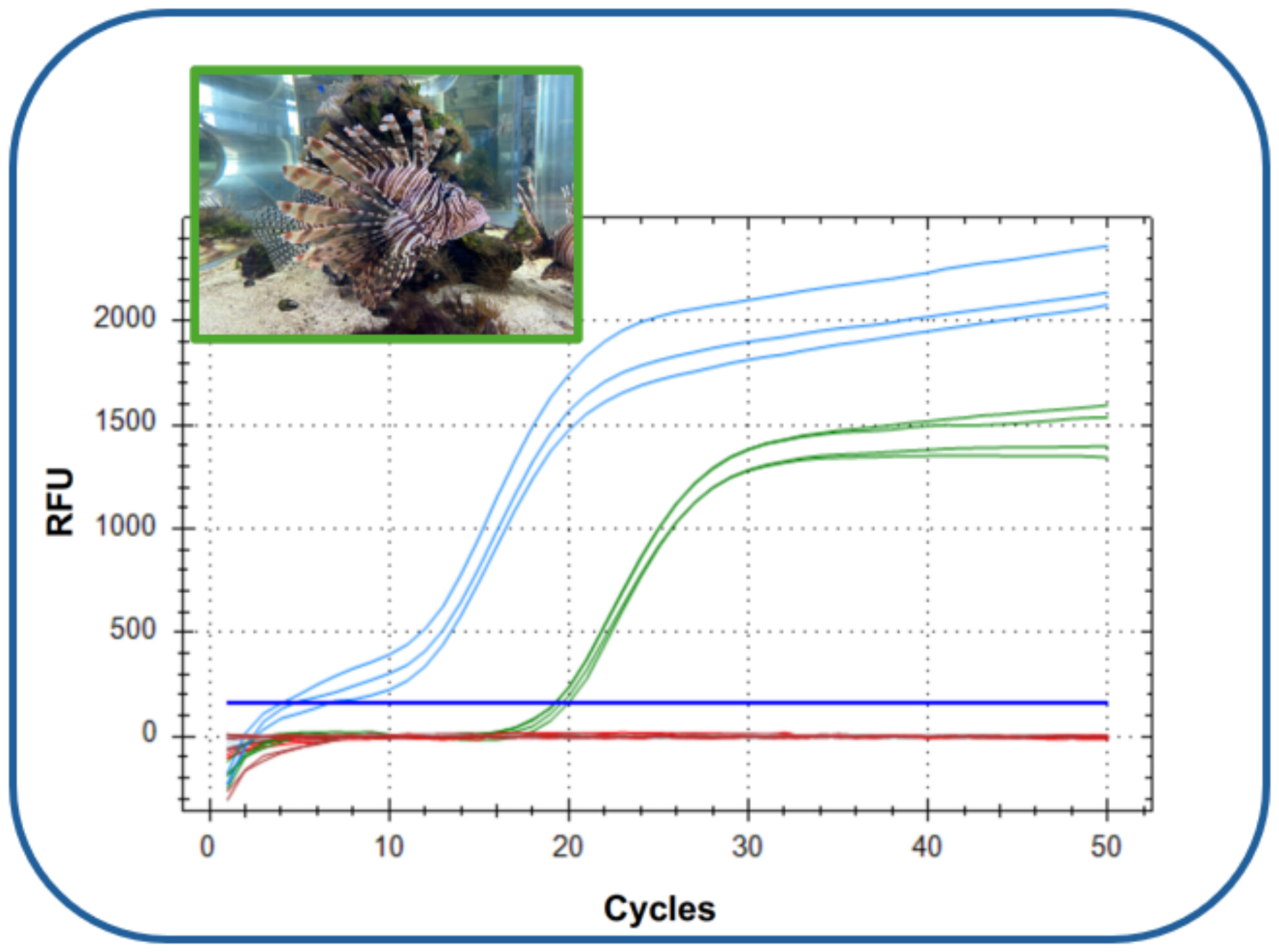 An Optimized Probe-Based qPCR Assay for the Detection and Monitoring of the Invasive Lionfish (Pterois volitans) in the Atlantic