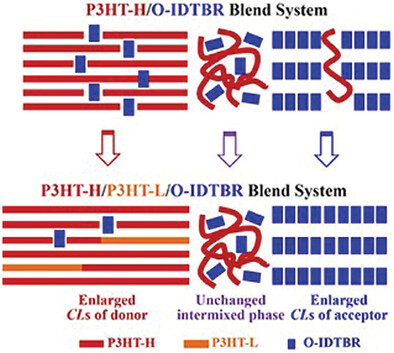 Blending Donors with Different Molecular Weights: An Efficient Strategy to Resolve the Conflict between Coherence Length and Intermixed Phase in Polymer/Nonfullerene Solar Cells