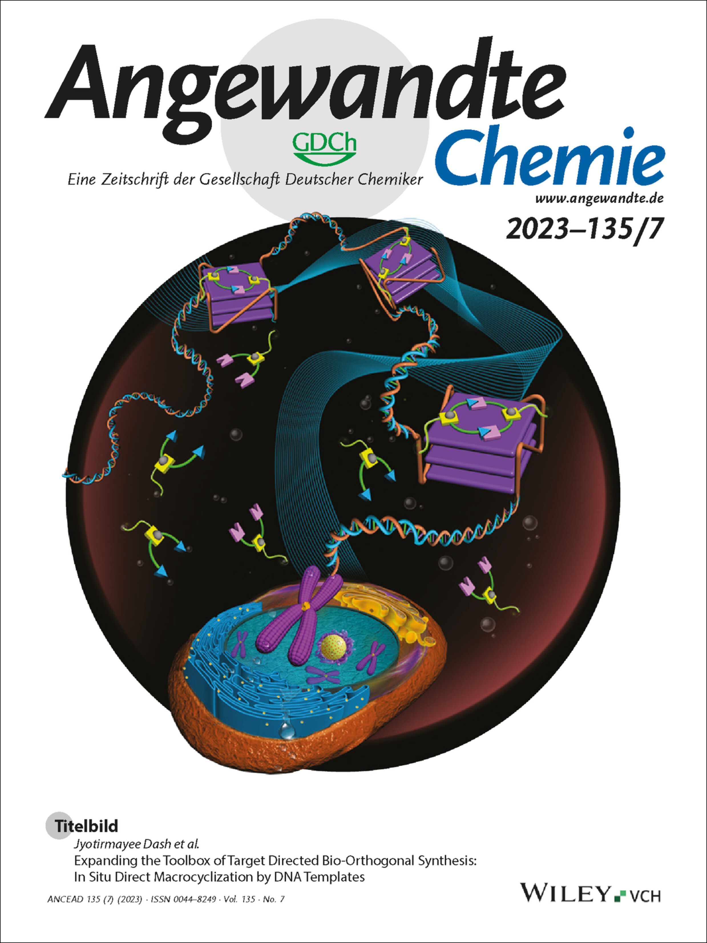 Titelbild: Expanding the Toolbox of Target Directed Bio-Orthogonal Synthesis: In Situ Direct Macrocyclization by DNA Templates (Angew. Chem. 7/2023) Volume 135 Issue 7, 2023