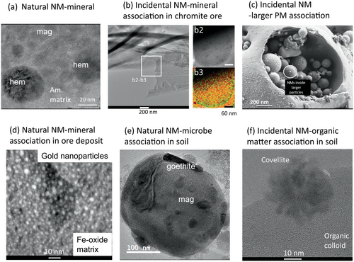 Details are in the caption following the image Details are in the caption following the image
