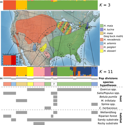 Details are in the caption following the image Details are in the caption following the image