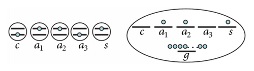 Details are in the caption following the image