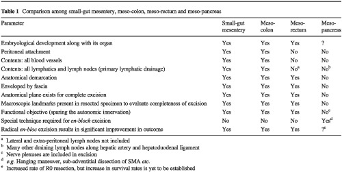 Mesopancreas is a misnomer: time to correct the nomenclature
