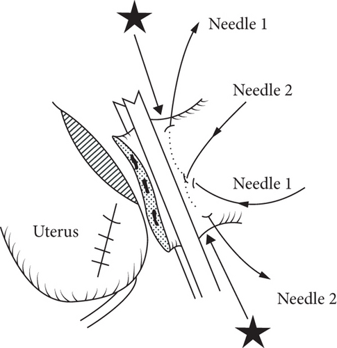 Details are in the caption following the image Details are in the caption following the image