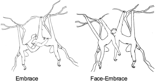 Details are in the caption following the image