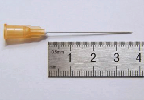 Details are in the caption following the image Details are in the caption following the image