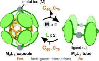 Selective Host–Guest Interactions of a Transformable Coordination Capsule/Tube with Fullerenes
