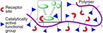 A Simple Protocol for the Modular Assembly of “Millipede” Artificial Enzymes