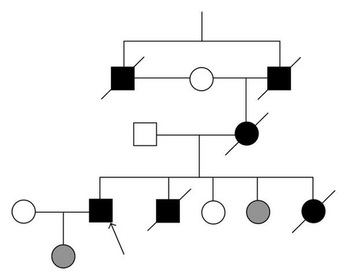 Details are in the caption following the image