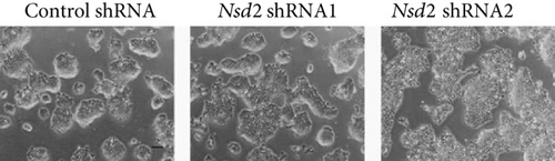 Details are in the caption following the image