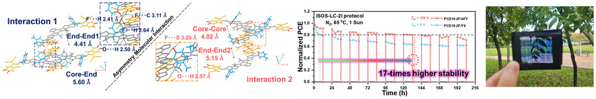 Efficient Semitransparent Organic Solar Modules with Exceptional Diurnal Stability Through Asymmetric Interaction Induced by Symmetric Molecular Structure