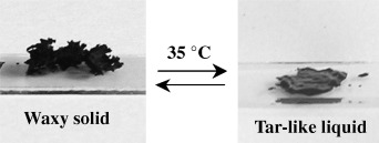 Functionalized Carbon Nanotubes: Synthesis of Meltable and Amphiphilic Derivatives