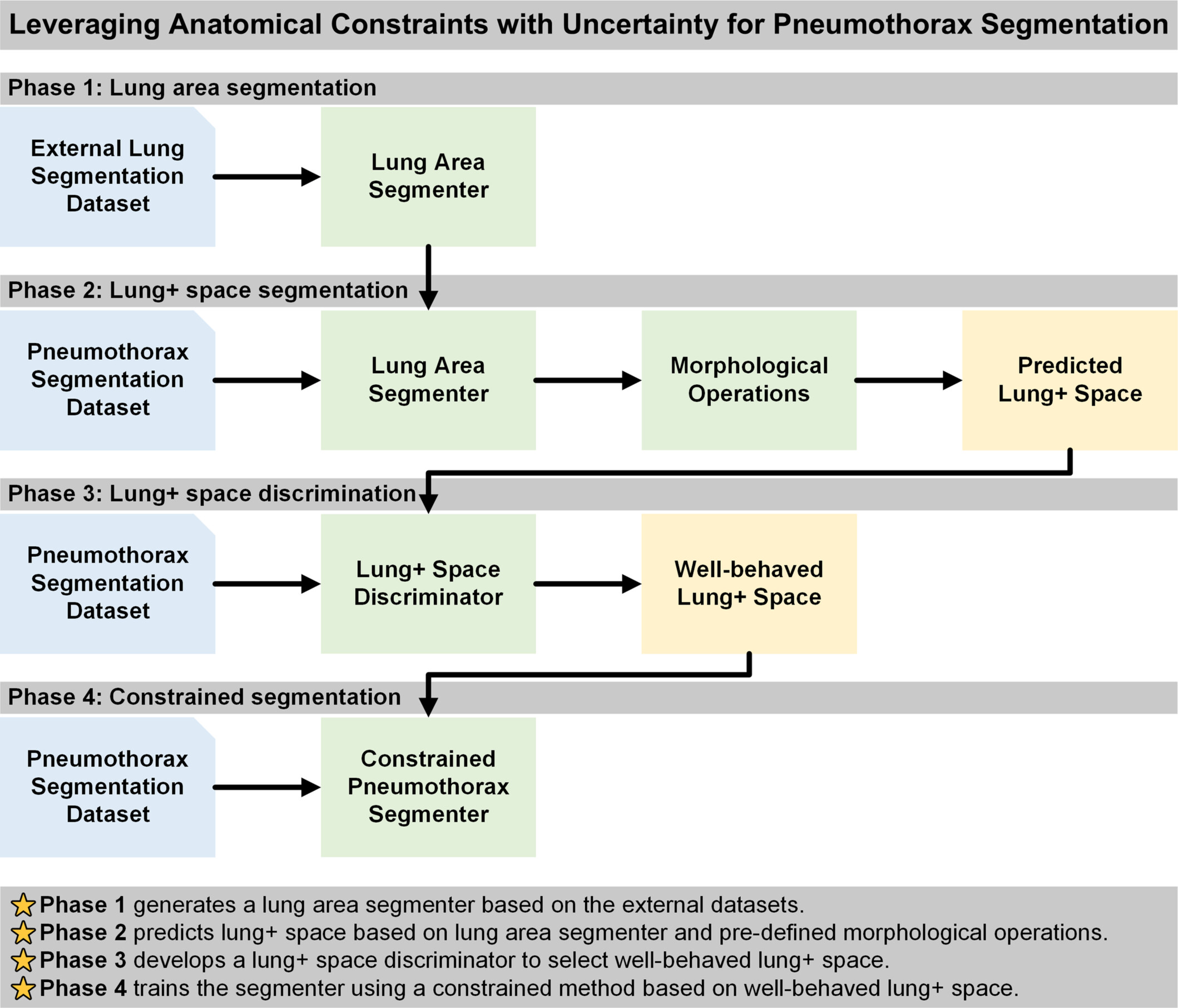 Leveraging anatomical constraints with uncertainty for pneumothorax segmentation Issue 6, 2024