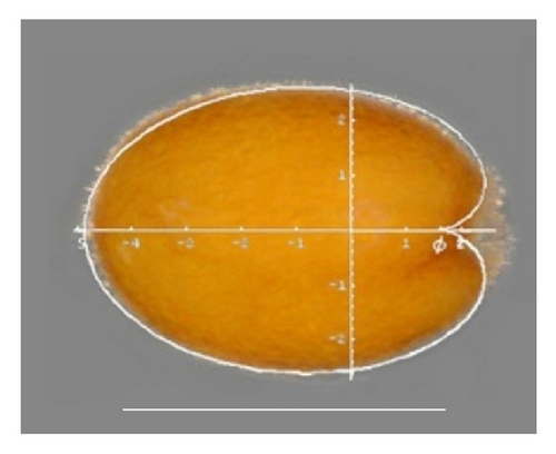 Details are in the caption following the image