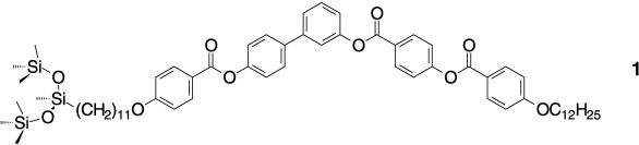 Chirality and Macroscopic Polar Order in a Ferroelectric Smectic Liquid-Crystalline Phase Formed by Achiral Polyphilic Bent-Core Molecules