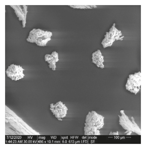 Details are in the caption following the image