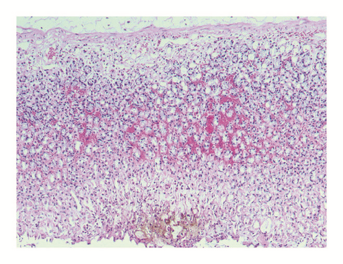 Details are in the caption following the image Details are in the caption following the image
