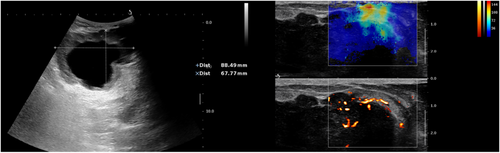Details are in the caption following the image Details are in the caption following the image