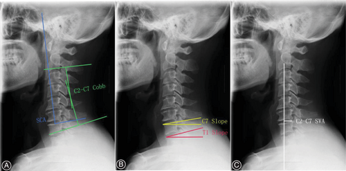 Details are in the caption following the image Details are in the caption following the image