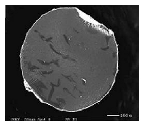 Details are in the caption following the image