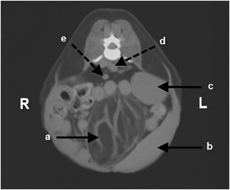 Details are in the caption following the image Details are in the caption following the image