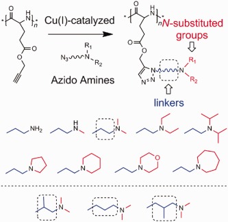 Side chain impacts on pH- and thermo-responsiveness of tertiary amine functionalized polypeptides