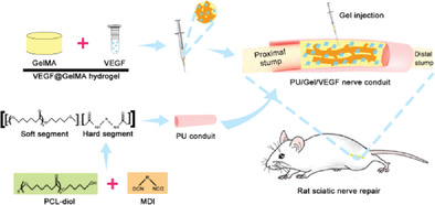 Biocompatible Polyurethane Conduit Grafted with Vascular Endothelial Growth Factor-Loaded Hydrogel Repairs the Peripheral Nerve Defect in Rats