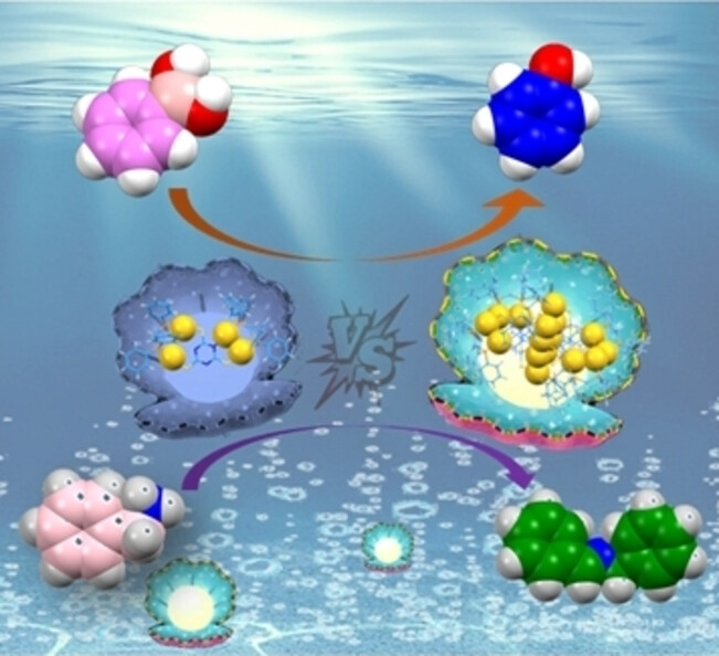 Photocatalytic Hydroxylation and Oxidative Coupling Reactions Mediated by Multinuclear Au(I) Supramolecular Clusters