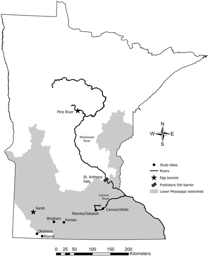 Details are in the caption following the image