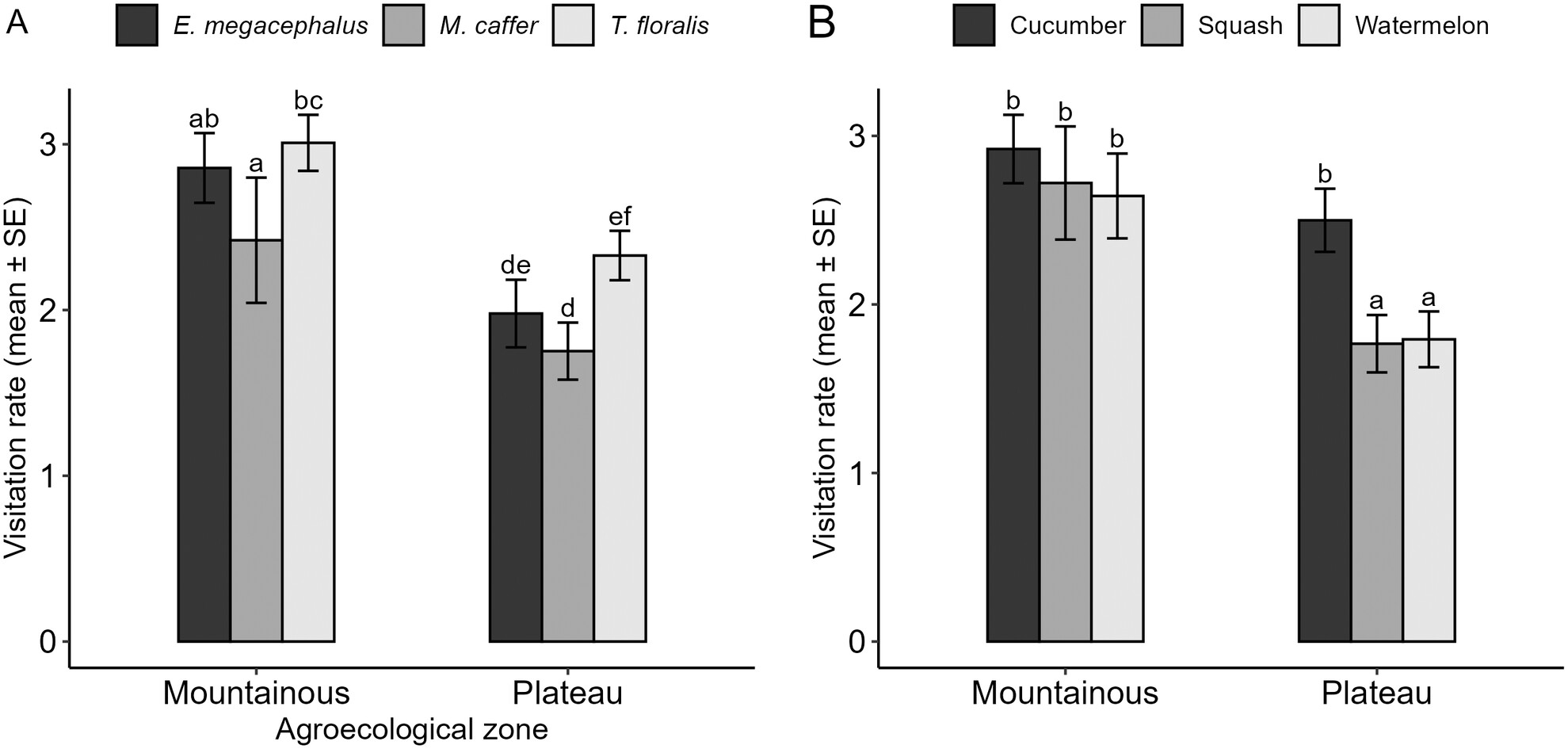 Diversity of hoverflies and their floral visitation patterns in cultivated cucurbit crops in Morogoro, Tanzania