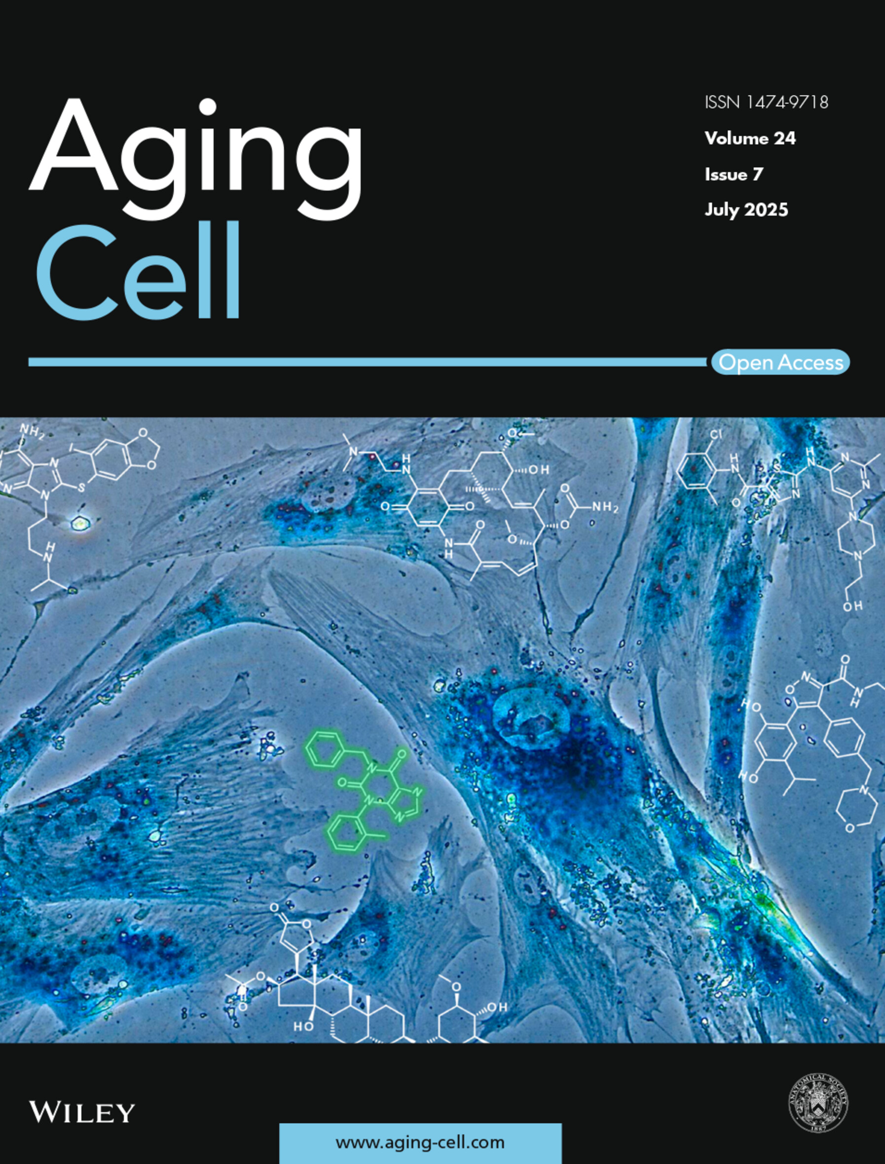 Additional Cover Volume 24 Issue 7, 2025