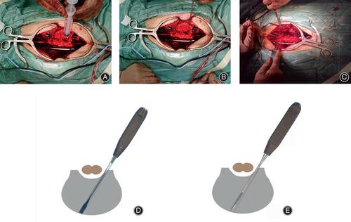 Details are in the caption following the image Details are in the caption following the image