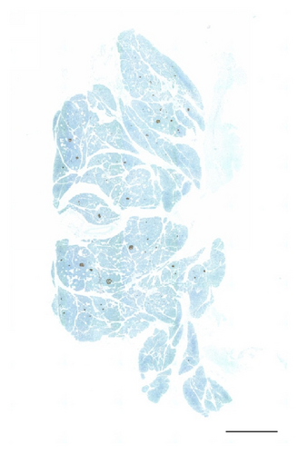 Details are in the caption following the image