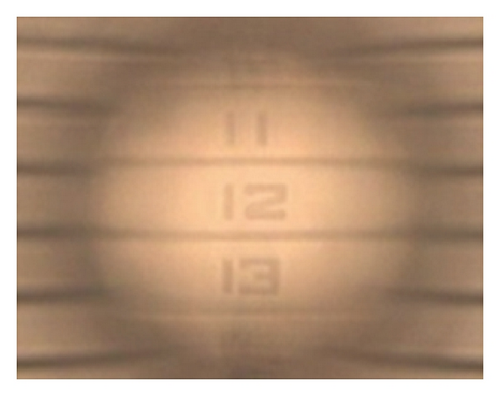 Details are in the caption following the image