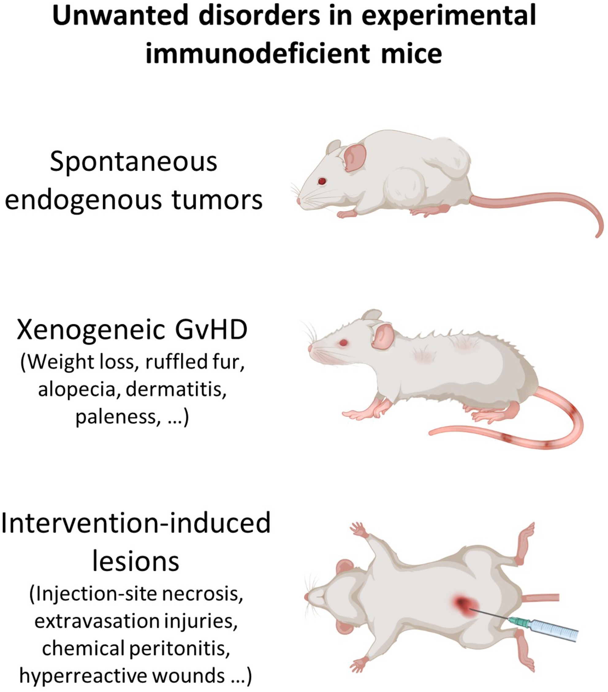 Unwanted disorders and xenogeneic graft-versus-host disease in experimental immunodeficient mice: How to evaluate and how to report