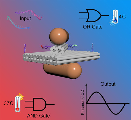 DNA-Based Adaptive Plasmonic Logic Gates