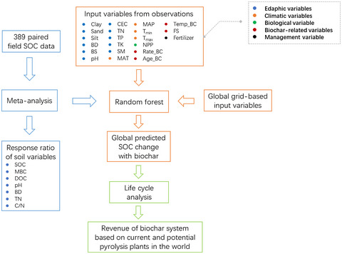 Global soil organic carbon changes and economic revenues with biochar application