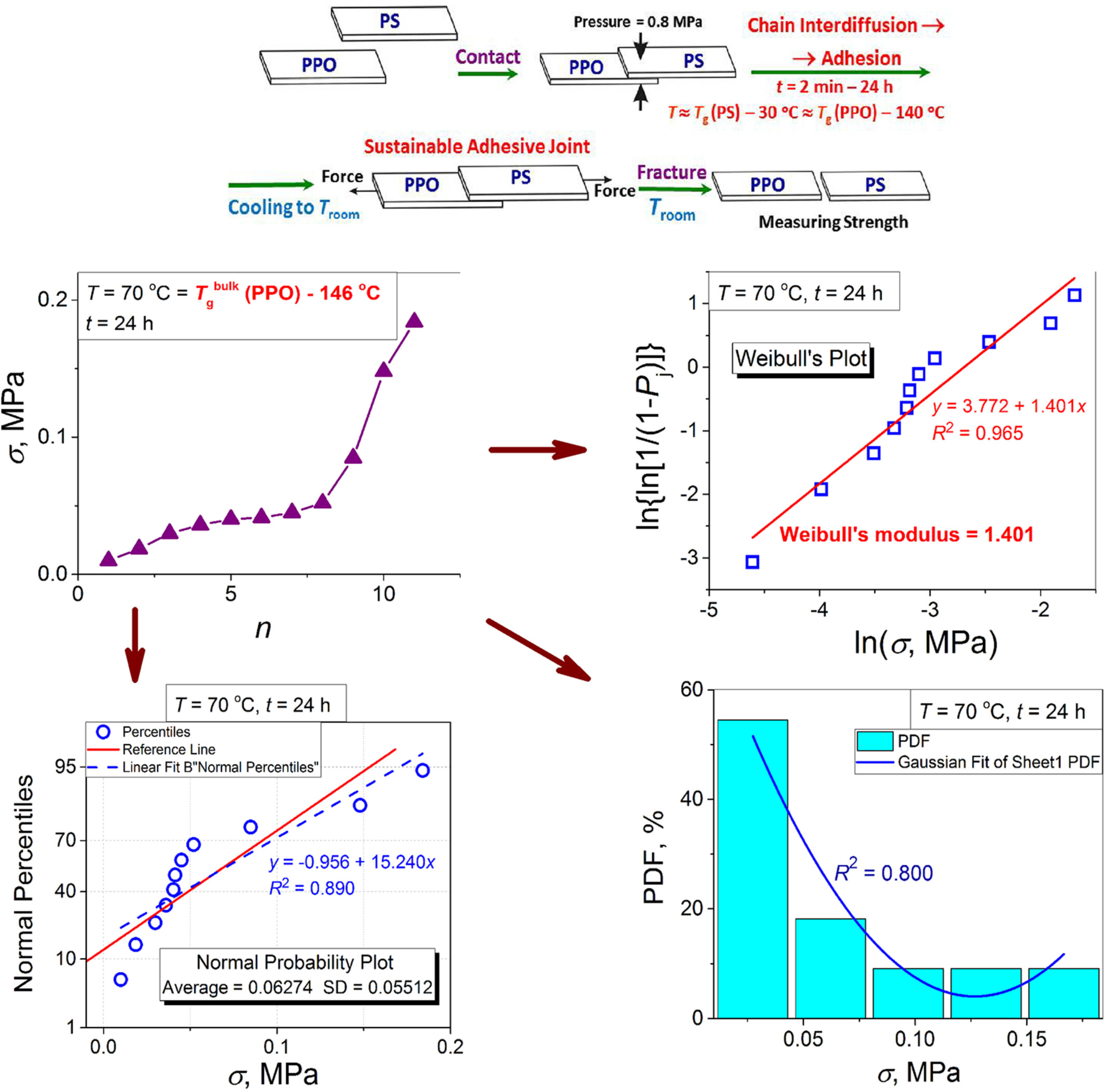 Statistics Specificity of the Adhesion Strength Origination Between Non-Crystalline Solids With Acutely Different Chain Mobility