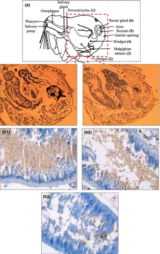 Details are in the caption following the image