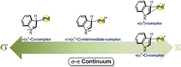 σ–π Continuum in Indole–Palladium(II) Complexes