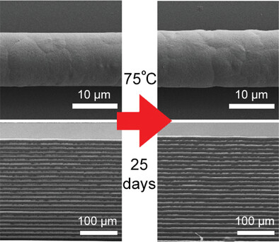 The Multiweek Thermal Stability of Medical-Grade Poly(ε-caprolactone) During Melt Electrowriting