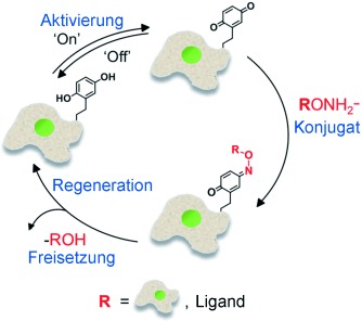 Cell-Surface Engineering by a Conjugation-and-Release Approach Based on the Formation and Cleavage of Oxime Linkages upon Mild Electrochemical Oxidation and Reduction