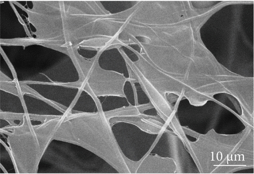 Details are in the caption following the image