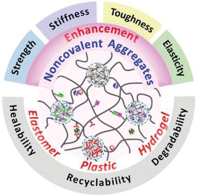 Polymeric materials reinforced by noncovalent aggregates of polymer chains