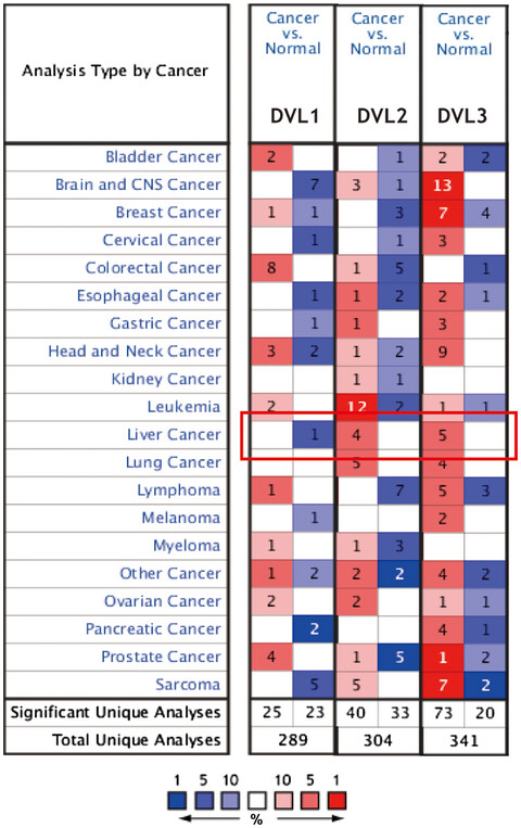 Systematic summarization of the expression profiles and prognostic roles of the dishevelled gene family in hepatocellular carcinoma