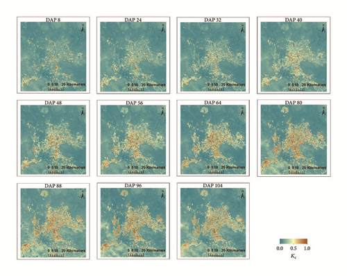 Details are in the caption following the image Details are in the caption following the image
