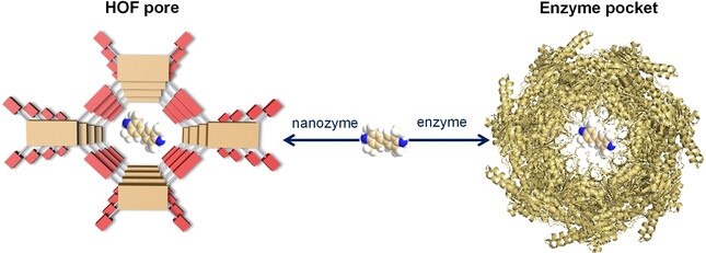 Pore-Environment-Dependent Photoresponsive Oxidase-Like Activity in Hydrogen-Bonded Organic Frameworks